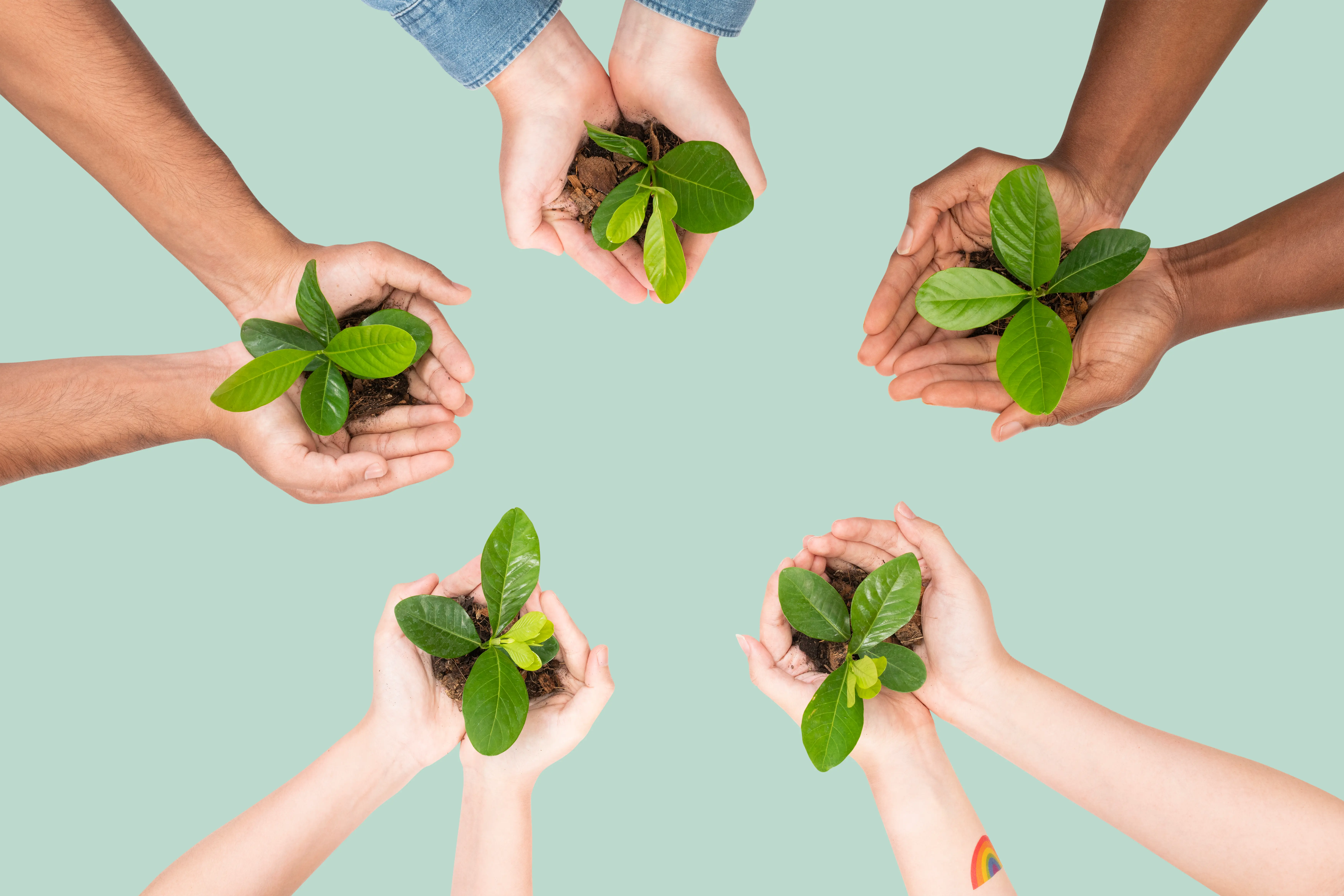 Educação Ambiental